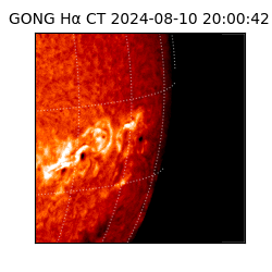 gong - 2024-08-10T20:00:42