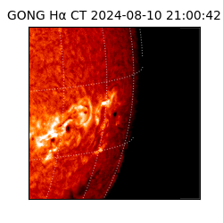 gong - 2024-08-10T21:00:42