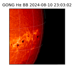 gong - 2024-08-10T23:03:02