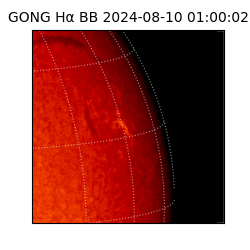 gong - 2024-08-10T01:00:02