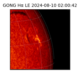 gong - 2024-08-10T02:00:42