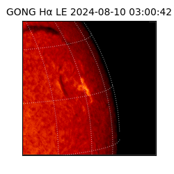 gong - 2024-08-10T03:00:42