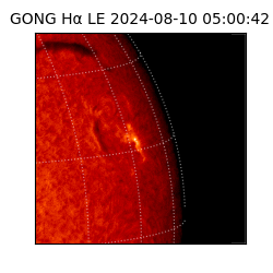 gong - 2024-08-10T05:00:42