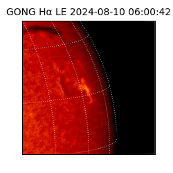 gong - 2024-08-10T06:00:42