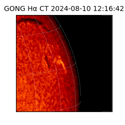 gong - 2024-08-10T12:16:42