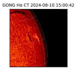 gong - 2024-08-10T15:00:42