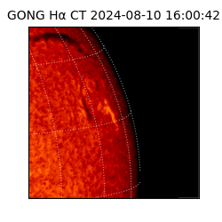 gong - 2024-08-10T16:00:42
