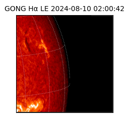 gong - 2024-08-10T02:00:42