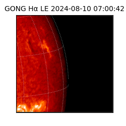 gong - 2024-08-10T07:00:42