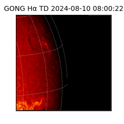 gong - 2024-08-10T08:00:22