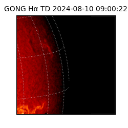 gong - 2024-08-10T09:00:22