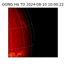 gong - 2024-08-10T10:00:22