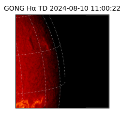 gong - 2024-08-10T11:00:22