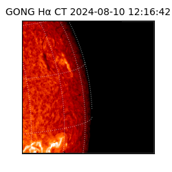 gong - 2024-08-10T12:16:42