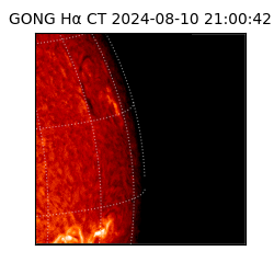 gong - 2024-08-10T21:00:42