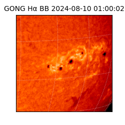 gong - 2024-08-10T01:00:02