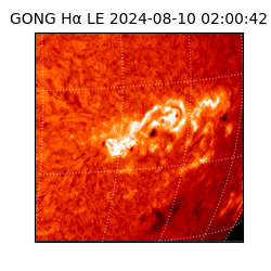 gong - 2024-08-10T02:00:42