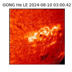 gong - 2024-08-10T03:00:42