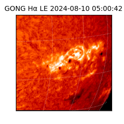 gong - 2024-08-10T05:00:42