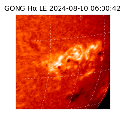 gong - 2024-08-10T06:00:42