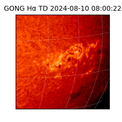 gong - 2024-08-10T08:00:22