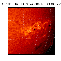gong - 2024-08-10T09:00:22