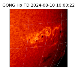 gong - 2024-08-10T10:00:22
