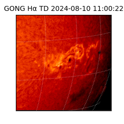 gong - 2024-08-10T11:00:22