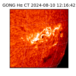 gong - 2024-08-10T12:16:42
