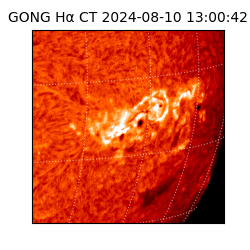 gong - 2024-08-10T13:00:42