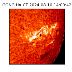 gong - 2024-08-10T14:00:42