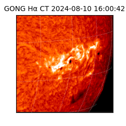 gong - 2024-08-10T16:00:42
