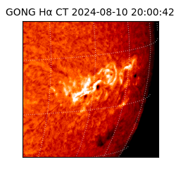 gong - 2024-08-10T20:00:42