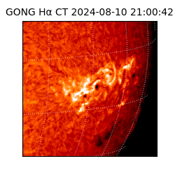 gong - 2024-08-10T21:00:42