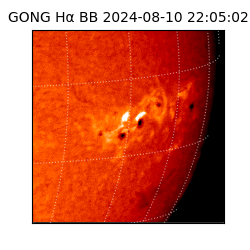 gong - 2024-08-10T22:05:02