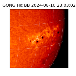 gong - 2024-08-10T23:03:02