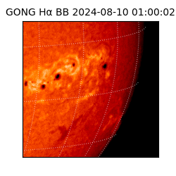 gong - 2024-08-10T01:00:02