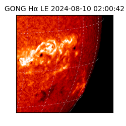 gong - 2024-08-10T02:00:42