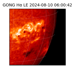gong - 2024-08-10T06:00:42