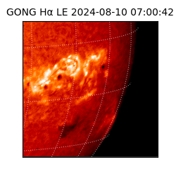 gong - 2024-08-10T07:00:42