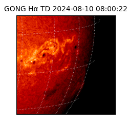 gong - 2024-08-10T08:00:22