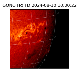 gong - 2024-08-10T10:00:22