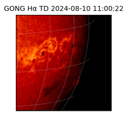 gong - 2024-08-10T11:00:22