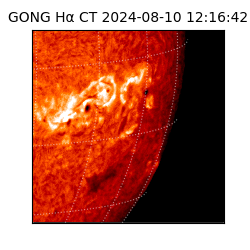 gong - 2024-08-10T12:16:42
