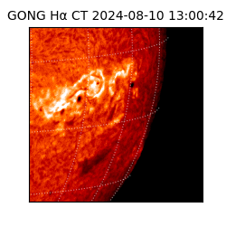 gong - 2024-08-10T13:00:42