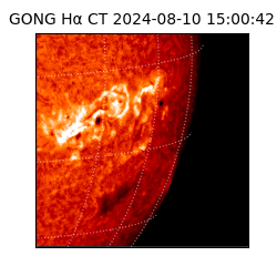gong - 2024-08-10T15:00:42