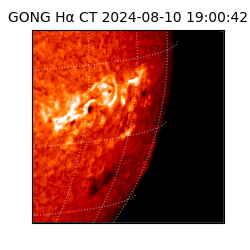 gong - 2024-08-10T19:00:42