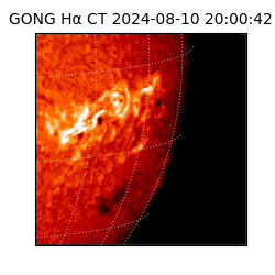gong - 2024-08-10T20:00:42