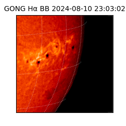 gong - 2024-08-10T23:03:02