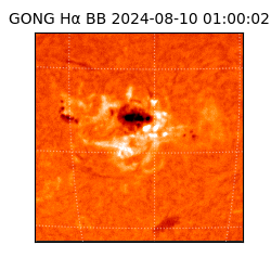 gong - 2024-08-10T01:00:02